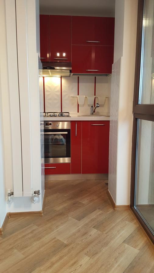 Grand View Apartment Braşov Exterior foto