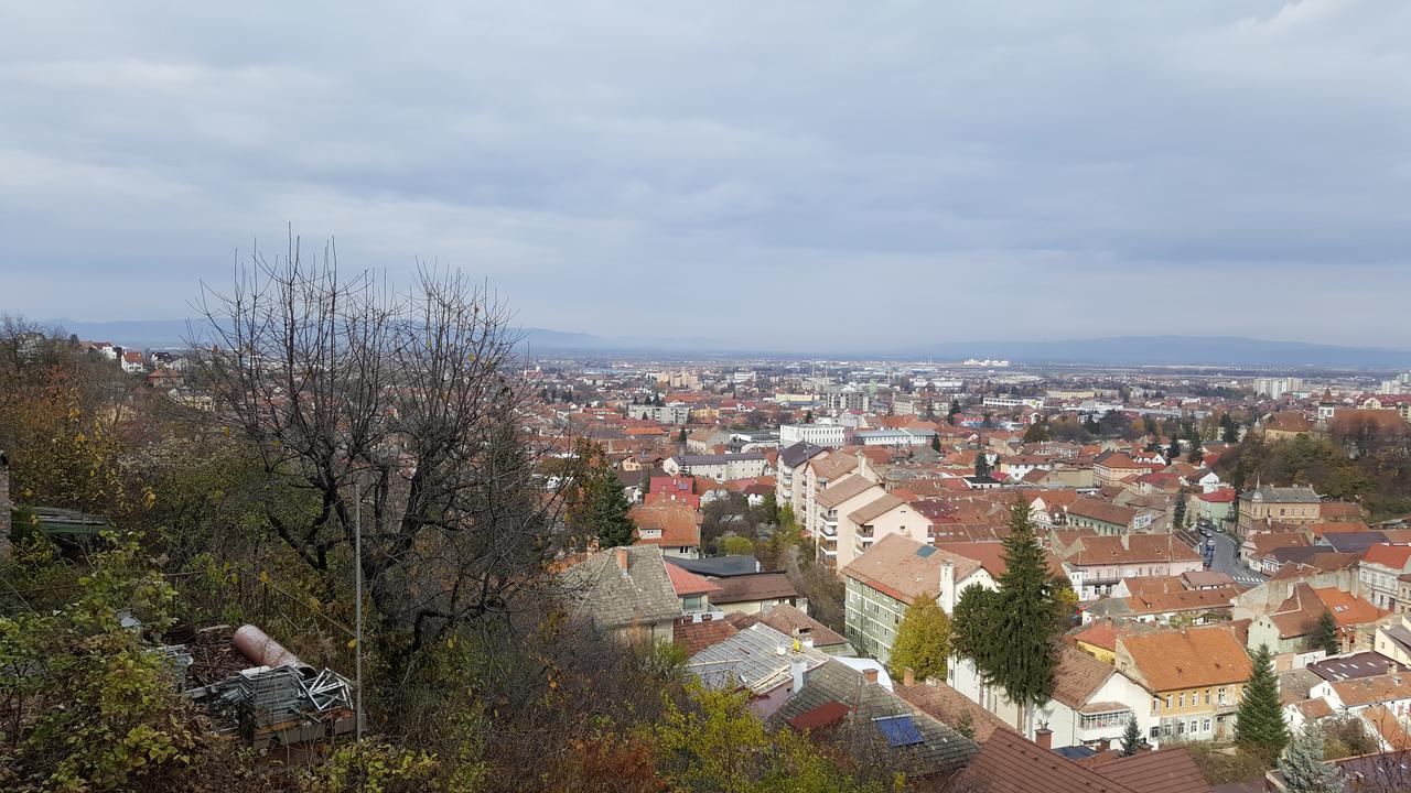 Grand View Apartment Braşov Exterior foto